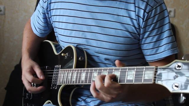 Aria Pro II LC 600, Fresher FL 400 (Leo Line),Burny LP Custom, Fresher FLC JS