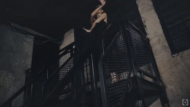 EnPointe Промо шоу-группы Черные лебеди