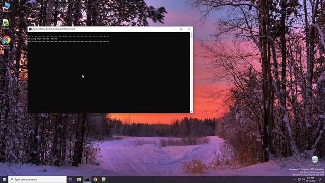 Installing Microsoft Store on Windows 10 LTSC (tutorial) смотреть онлайн