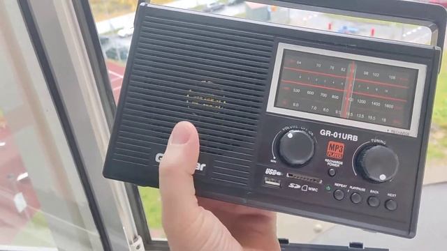 Goldstar GR-01URB (LG), Premium приёмник с золотым динамиком смотреть онлайн