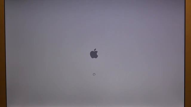 起動時間) MacBook Pro15 inch, Mid 2010のディスクをSSDに交換した効果 смотреть онлайн