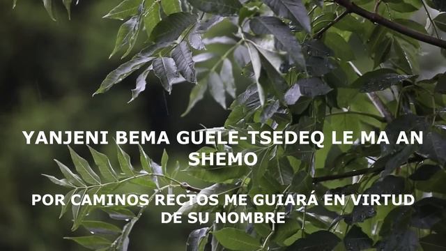 SALMO 23 GAD ELBAZ EN VIVO LYRICS ESPAÑOL FONETICA HEBREA смотреть онлайн