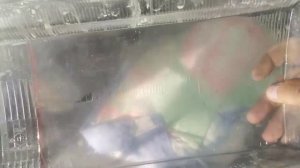 Шлифовка и полировка стёкол фар под линзы  Ford Sierra