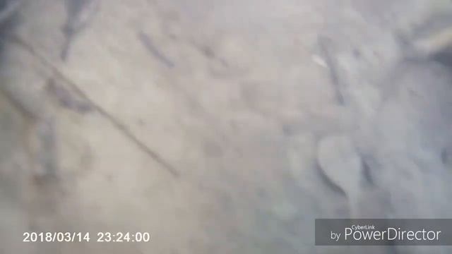 Кто живет в ручье? смотреть онлайн