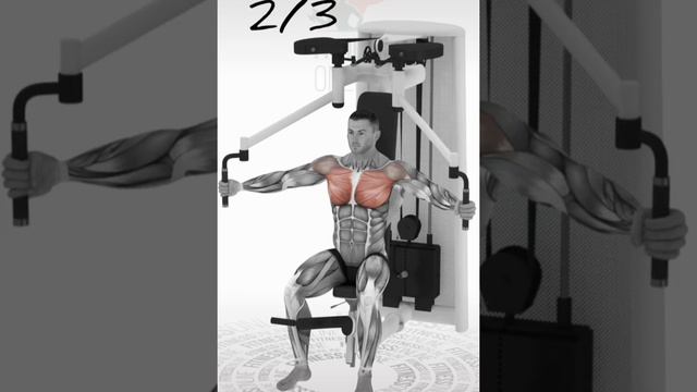 Подборка упражнений на мышцы груди. смотреть онлайн