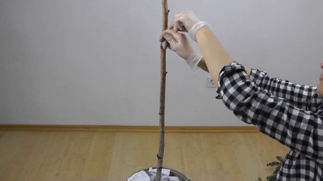 DIY - Weihnachtsdeko Selber Machen | Tannenbaum Mit Zipfelmütze Aus Naturmaterial | DekoideenReich