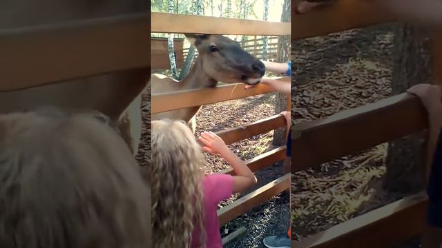 10 февраля 2019 г. смотреть онлайн