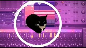 Кот maxwell phonk remix | мемы про танцующего кота maxwell