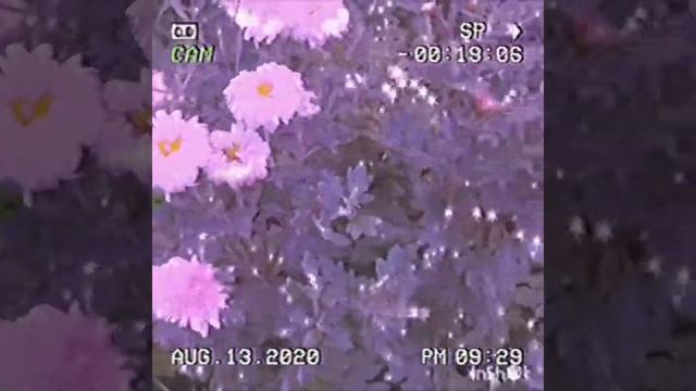 ЭСТЕТИКА.ЭСТЕТИЧНОЕ ВИДЕО.РОЗОВЫЕ ОБЛАКА смотреть онлайн