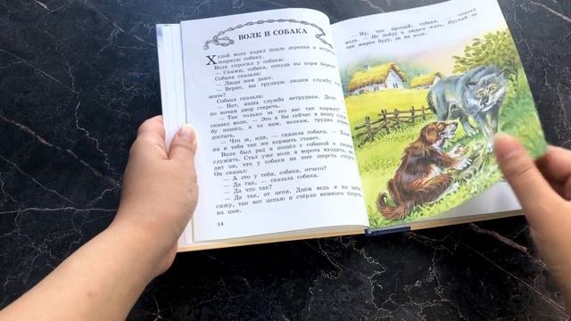 Филипок. Рассказы и сказки (ил. В. Канивца) смотреть онлайн