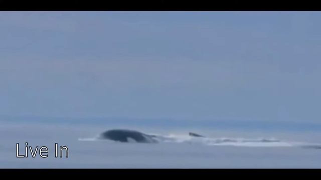 экстренное всплытие подводных лодок смотреть онлайн