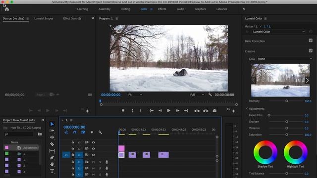 How to Import Lut into Premiere Pro - EASY смотреть онлайн