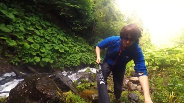 Треккинг в Харгинский лес: новый маршрут в Красной Поляне