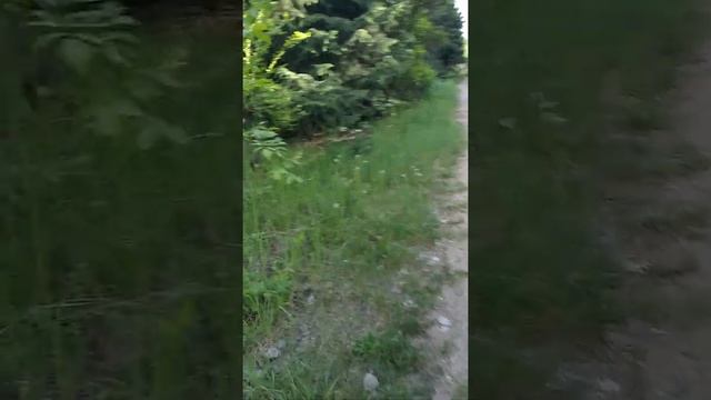 Гуляли по парку смотреть онлайн