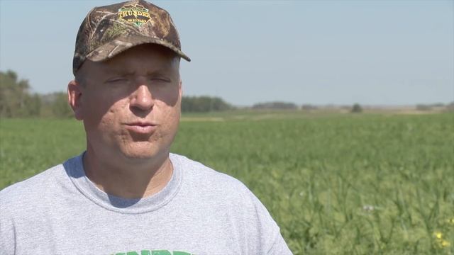 Tillage Radish Cover Crop смотреть онлайн