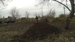 Культиватор Daewoo 5055R