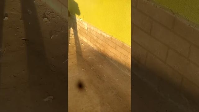 Салми.усто смотреть онлайн