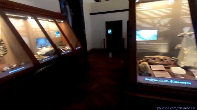 Путевые Заметки, музеи, Вена, июль 2022: поездка с Оливером в музей Истории Естествознания, ч.1/2 смотреть онлайн