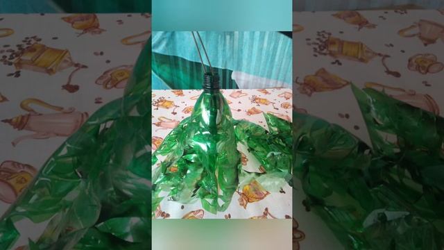 Мастер класс "Пальма из пластиковых бутылок" смотреть онлайн