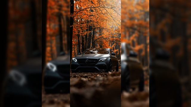 ФОГЕЛЬ - БОГАТЫМИ Порой я думаю о том как хорошо что мы не родились богатыми смотреть онлайн