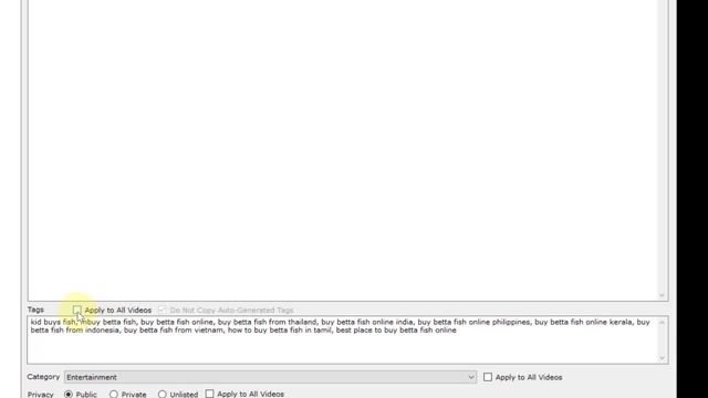 YouTube Bulk Video Uploader Software Review смотреть онлайн