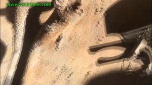 Mitsubishi Grandis - Слабые места эксплуатации автомобиля. Авто - Жесть. Гараж Z