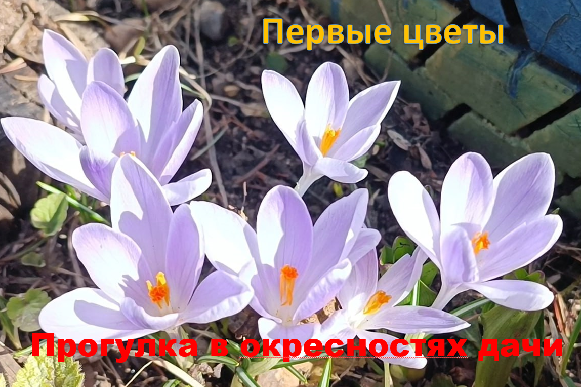 Первый день на даче смотреть онлайн