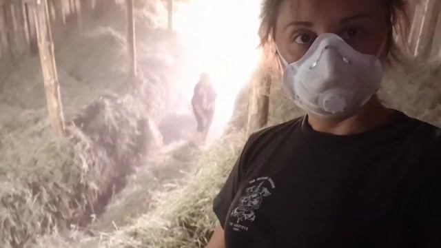 заготовка сена на зиму смотреть онлайн