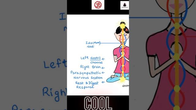 Must do before meditation |Right brain activation| ?️ #trendingshorts #shortsfeed