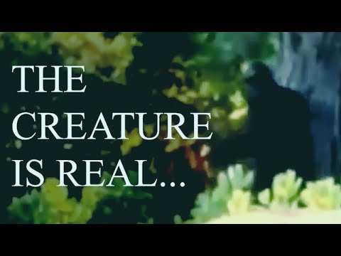 The Most Perplexing Bigfoot Footage... смотреть онлайн