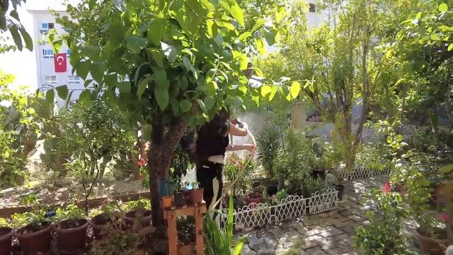 Работаем с сестрой в саду. Отвечаю на комментарии и хейт смотреть онлайн