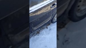 ВАЗ 2114  НЕ СРАБАТЫВАЕТ БЕНЗ.НАСОС И СТАРТЕР НЕ ГОРИТ ЧЕК.