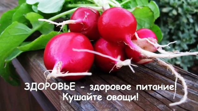 Исследовательский проект "Редиска" 1 М класс смотреть онлайн