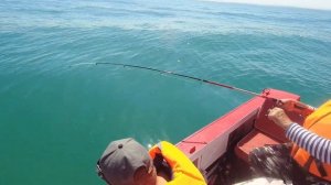 Лодка "Днепр" на воде