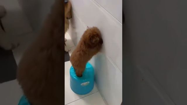 Наказали😂