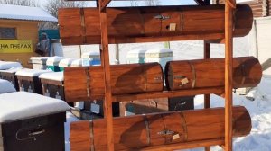 Добрая пасека. Горизонтальная колода для пчел.