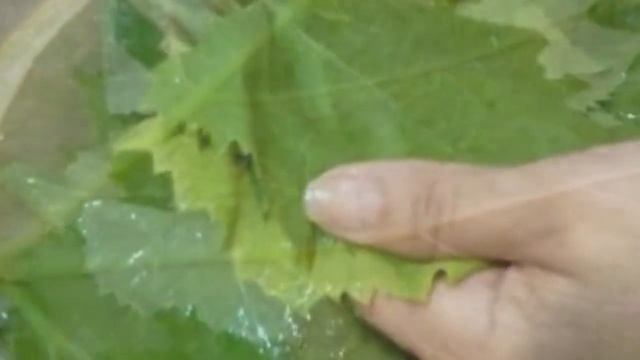 Долма смотреть онлайн