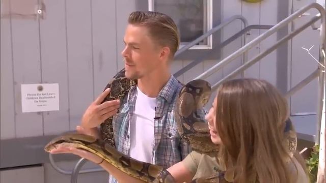 Bindi Irwin freaks out her DWTS partner... смотреть онлайн