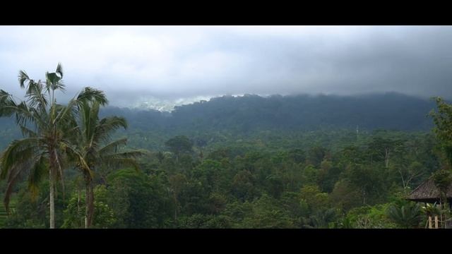 Путешествие на Рисовые террасы - Bali vlog смотреть онлайн