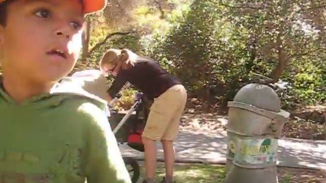 krish in wildlife event touching Python смотреть онлайн