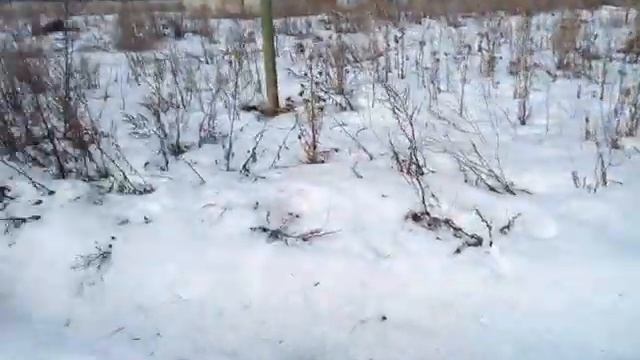 База УНГСК с торгов по банкротству