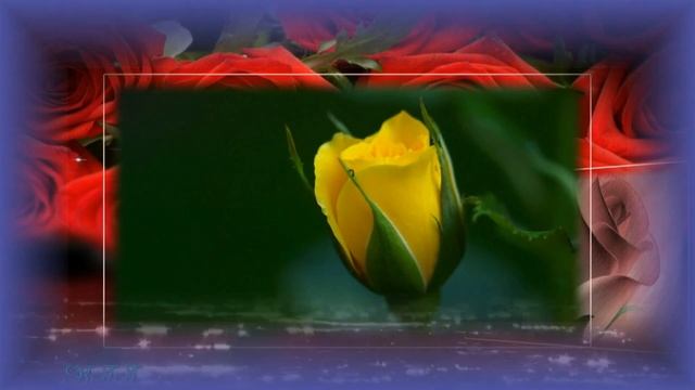 Поздравление с 8 марта 2019 красивые видео поздравления с женским Днём смотреть онлайн