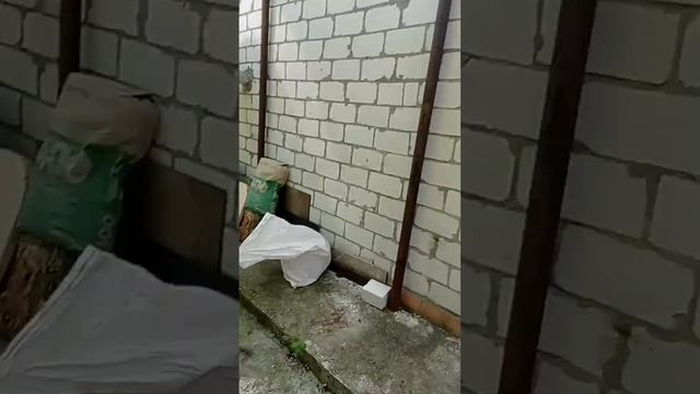 какая-то дача 1 часть смотреть онлайн