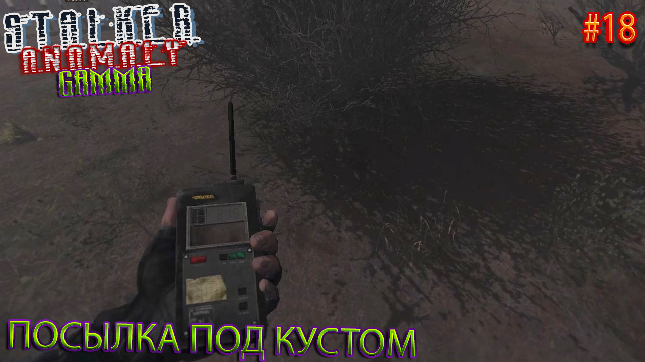 ПОСЫЛКА ПОД КУСТОМ | STALKER ANOMALY GAMMA | Серия 18