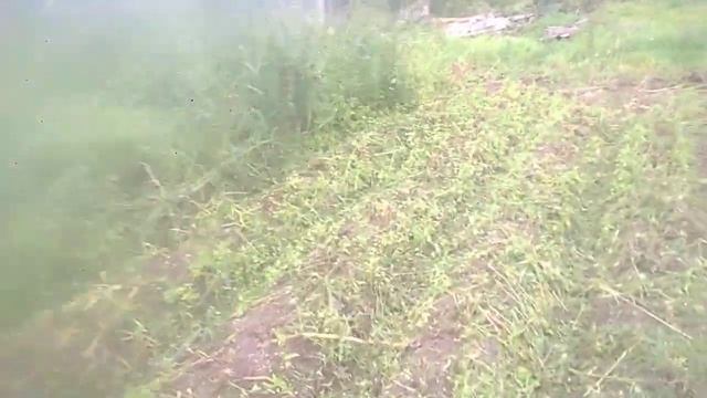 Чешский трактор TZ4K-14 Уборка батвы смотреть онлайн