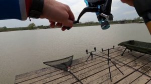 Рыбалка на карпа в Краснодарском крае. Карп не дает отдыхать