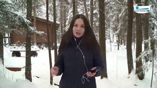 Новая "Лесная тропа" в памятнике природы "Колтушские высоты" смотреть онлайн