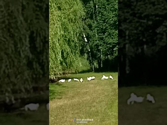 4 июля 2022 г. смотреть онлайн