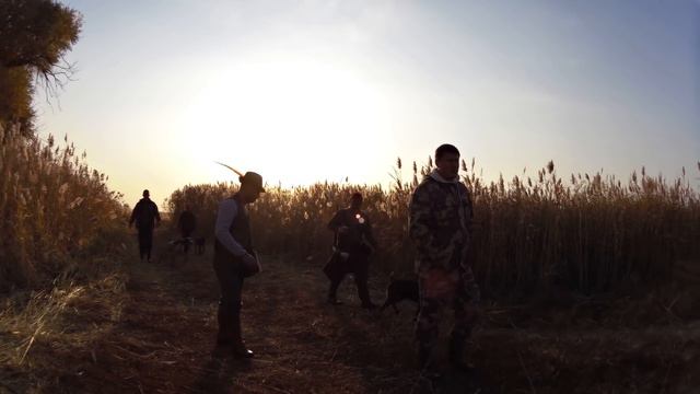 Kazakhstan Hunting. Сезон охоты Фазанофффест смотреть онлайн
