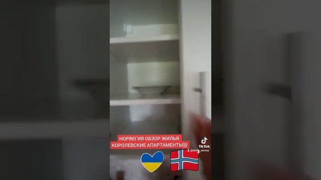 Норвегия обзор жилья. Королевские апартаменты в Норвегии. Жильё от коммуны в Норвегии смотреть онлайн